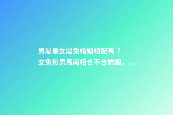 男屬馬女屬兔婚姻相配嗎？ 女兔和男馬屬相合不合婚姻，女兔 和 男馬 合不合？-第1張-觀點(diǎn)-玄機(jī)派